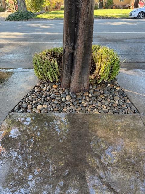 Detail Gallery Image 10 of 29 For 7610 Miller Ave, Gilroy,  CA 95020 - 5 Beds | 2/1 Baths