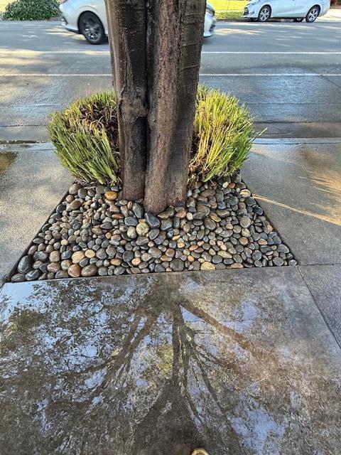 Detail Gallery Image 11 of 29 For 7610 Miller Ave, Gilroy,  CA 95020 - 5 Beds | 2/1 Baths