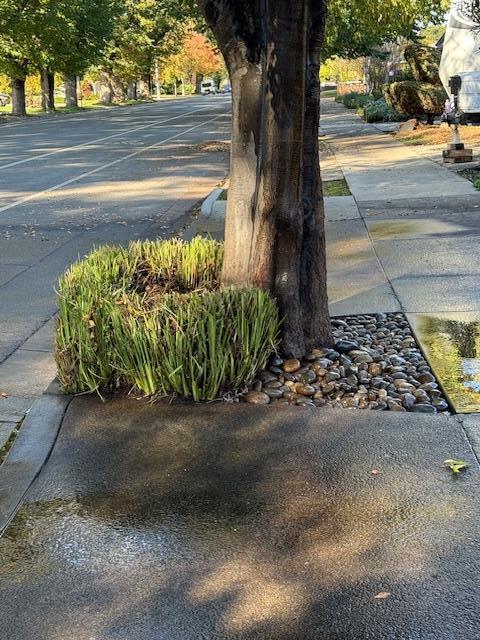 Detail Gallery Image 12 of 29 For 7610 Miller Ave, Gilroy,  CA 95020 - 5 Beds | 2/1 Baths