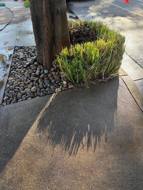 Detail Gallery Image 13 of 29 For 7610 Miller Ave, Gilroy,  CA 95020 - 5 Beds | 2/1 Baths