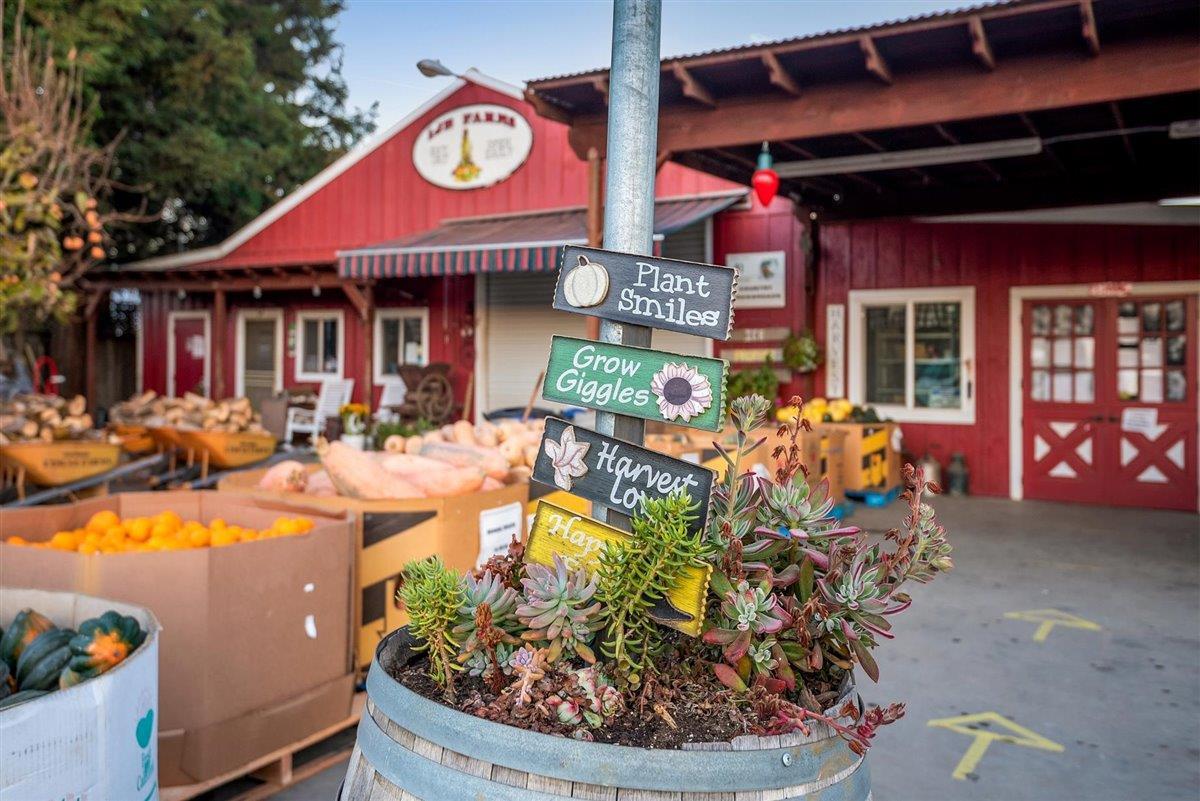 Detail Gallery Image 18 of 29 For 7610 Miller Ave, Gilroy,  CA 95020 - 5 Beds | 2/1 Baths