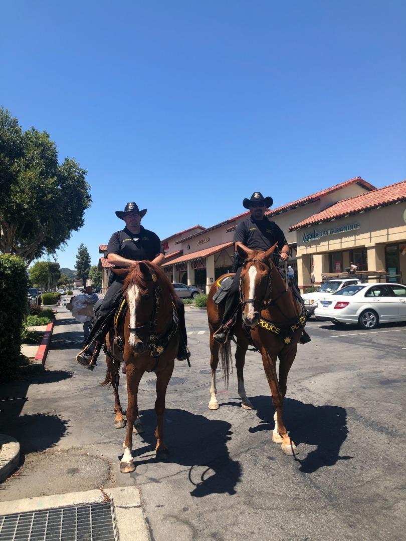 Detail Gallery Image 51 of 51 For 7610 Miller Ave, Gilroy,  CA 95020 - 5 Beds | 2/1 Baths