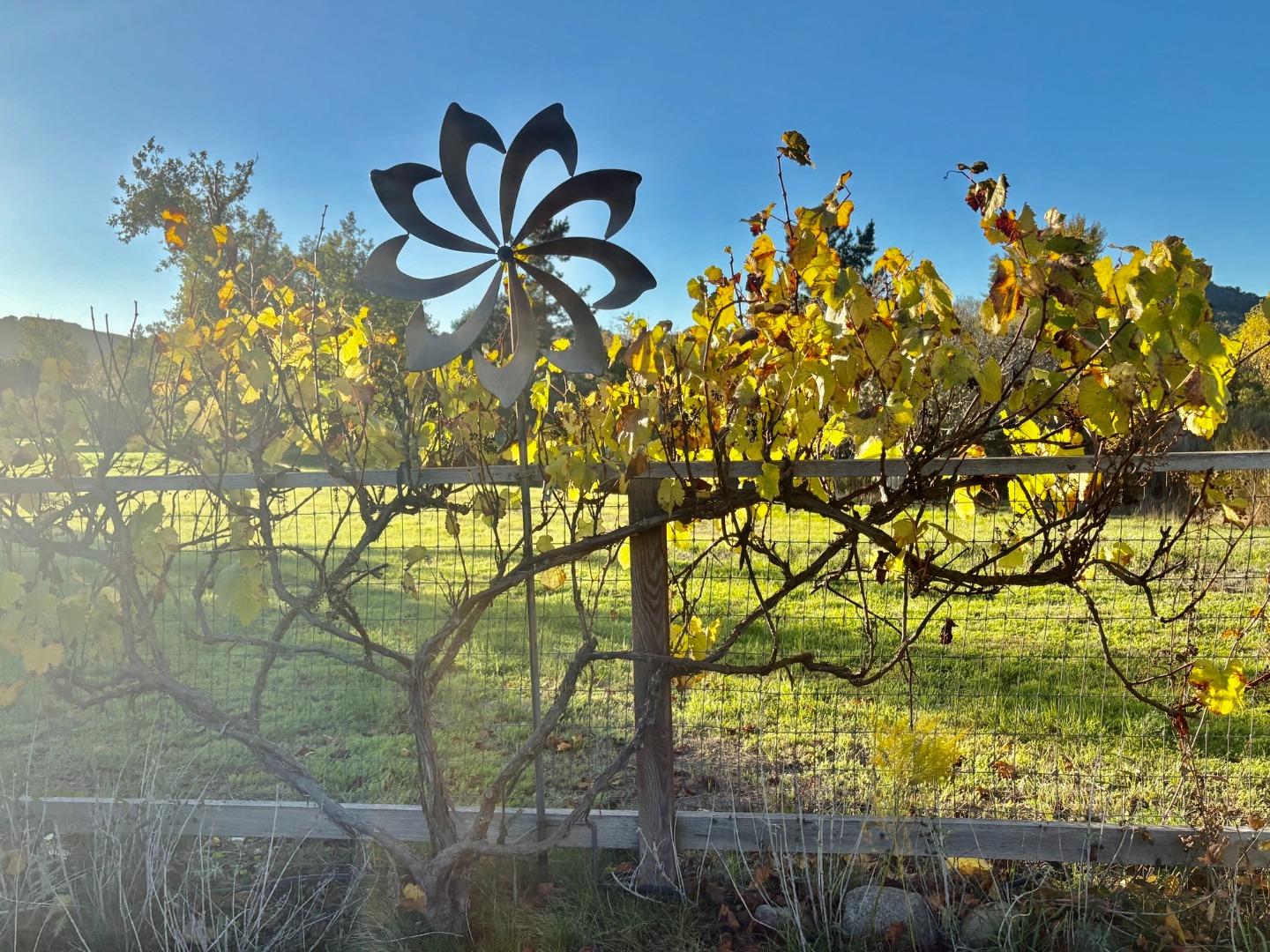 Detail Gallery Image 30 of 38 For 20120 Portola Dr, Salinas,  CA 93908 - 3 Beds | 2 Baths