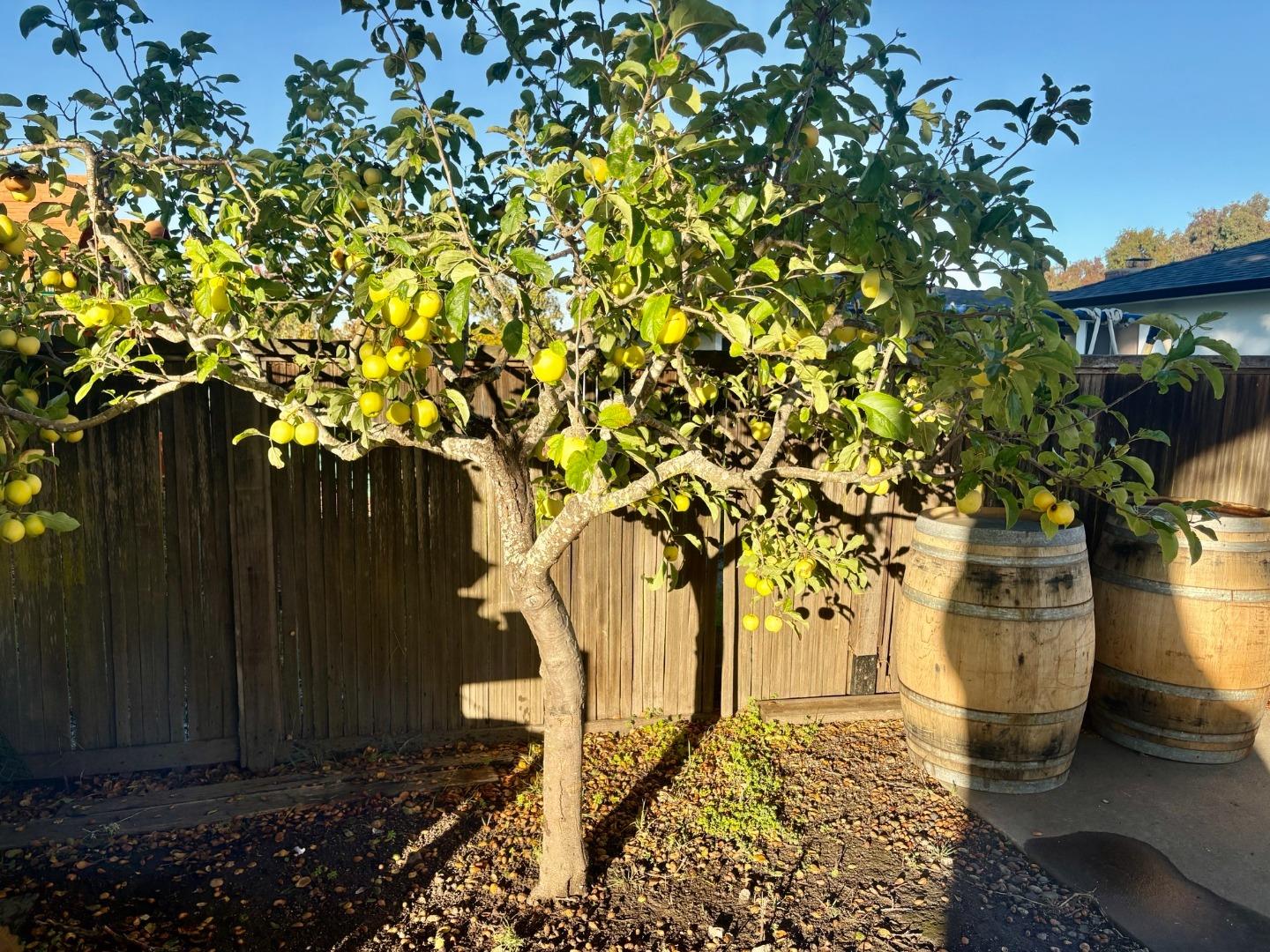 Detail Gallery Image 35 of 38 For 20120 Portola Dr, Salinas,  CA 93908 - 3 Beds | 2 Baths