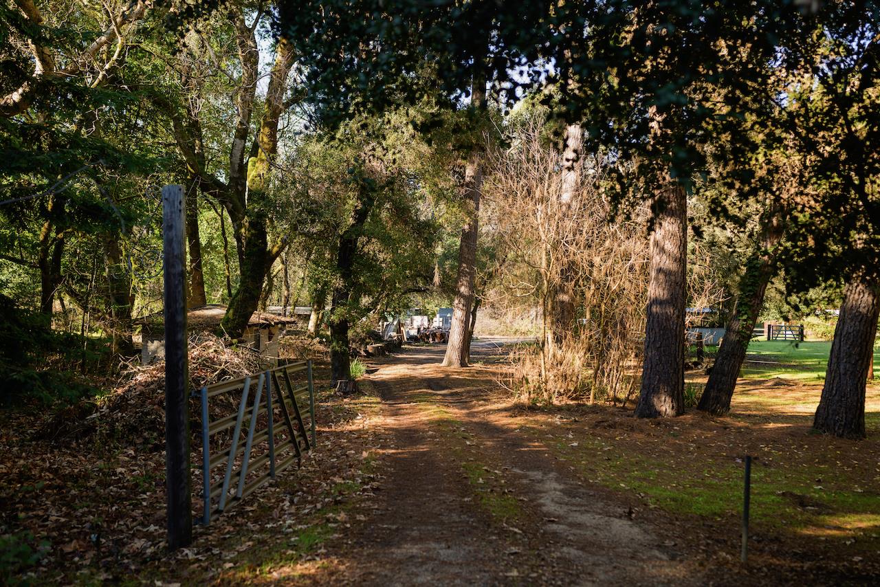 Detail Gallery Image 10 of 92 For 515 Lockhart Gulch Rd, Scotts Valley,  CA 95066 - 2 Beds | 1 Baths