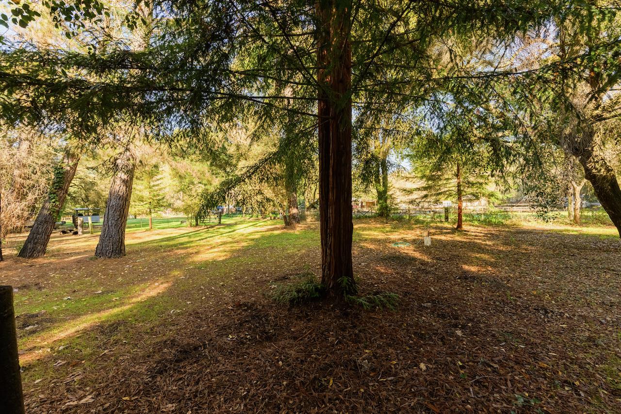 Detail Gallery Image 12 of 92 For 515 Lockhart Gulch Rd, Scotts Valley,  CA 95066 - 2 Beds | 1 Baths