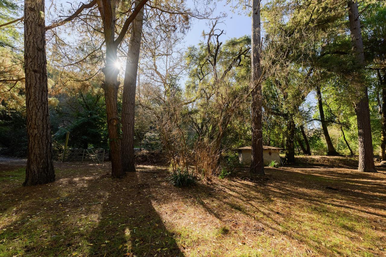 Detail Gallery Image 20 of 92 For 515 Lockhart Gulch Rd, Scotts Valley,  CA 95066 - 2 Beds | 1 Baths