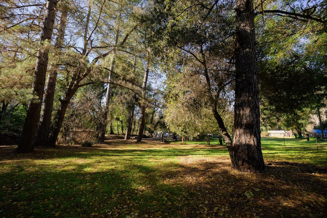Detail Gallery Image 21 of 92 For 515 Lockhart Gulch Rd, Scotts Valley,  CA 95066 - 2 Beds | 1 Baths