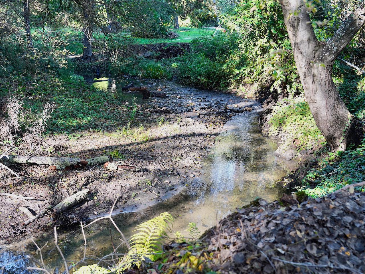 Detail Gallery Image 5 of 92 For 515 Lockhart Gulch Rd, Scotts Valley,  CA 95066 - 2 Beds | 1 Baths