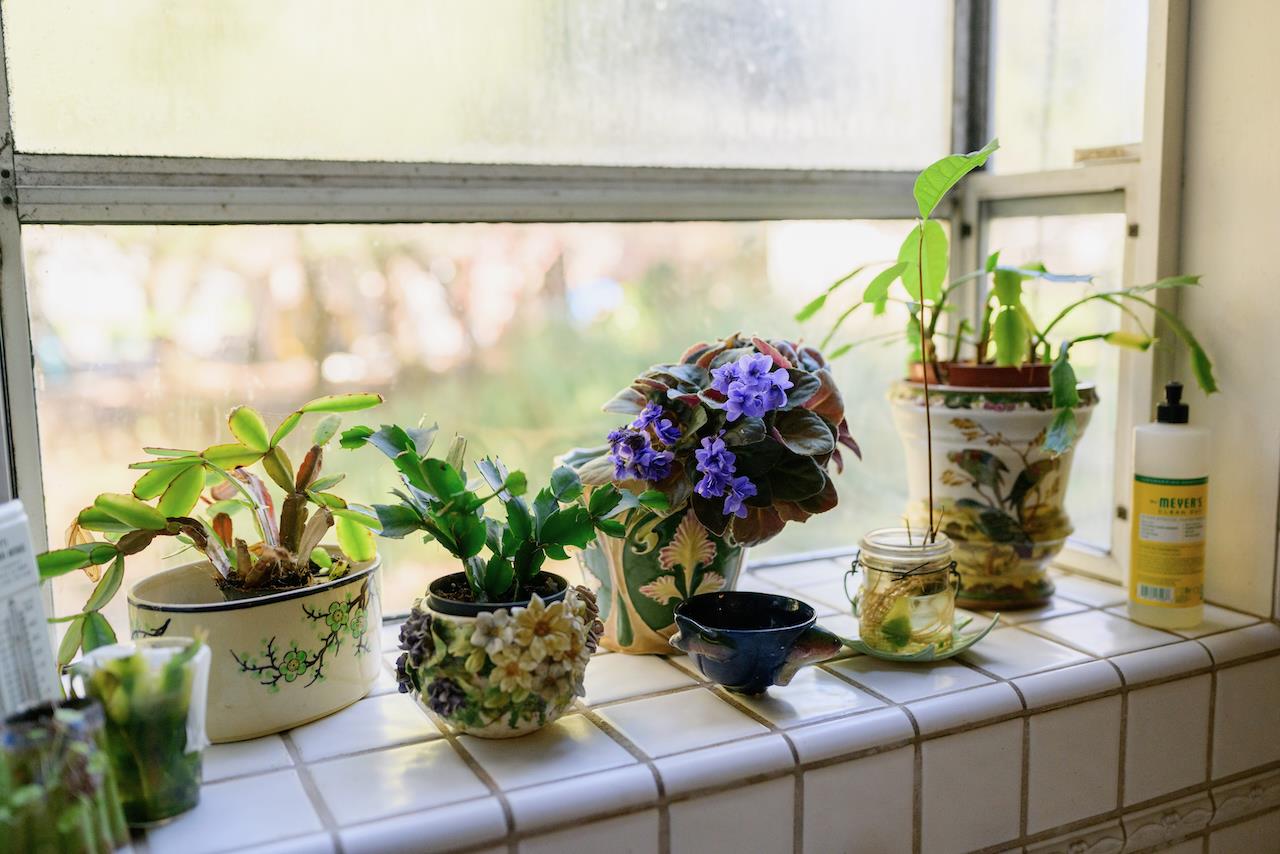 Detail Gallery Image 58 of 92 For 515 Lockhart Gulch Rd, Scotts Valley,  CA 95066 - 2 Beds | 1 Baths