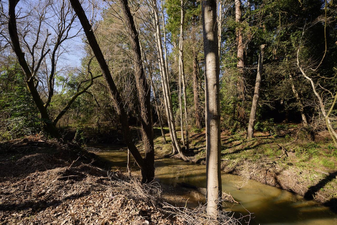 Detail Gallery Image 65 of 92 For 515 Lockhart Gulch Rd, Scotts Valley,  CA 95066 - 2 Beds | 1 Baths