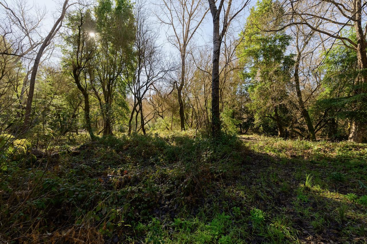 Detail Gallery Image 66 of 92 For 515 Lockhart Gulch Rd, Scotts Valley,  CA 95066 - 2 Beds | 1 Baths