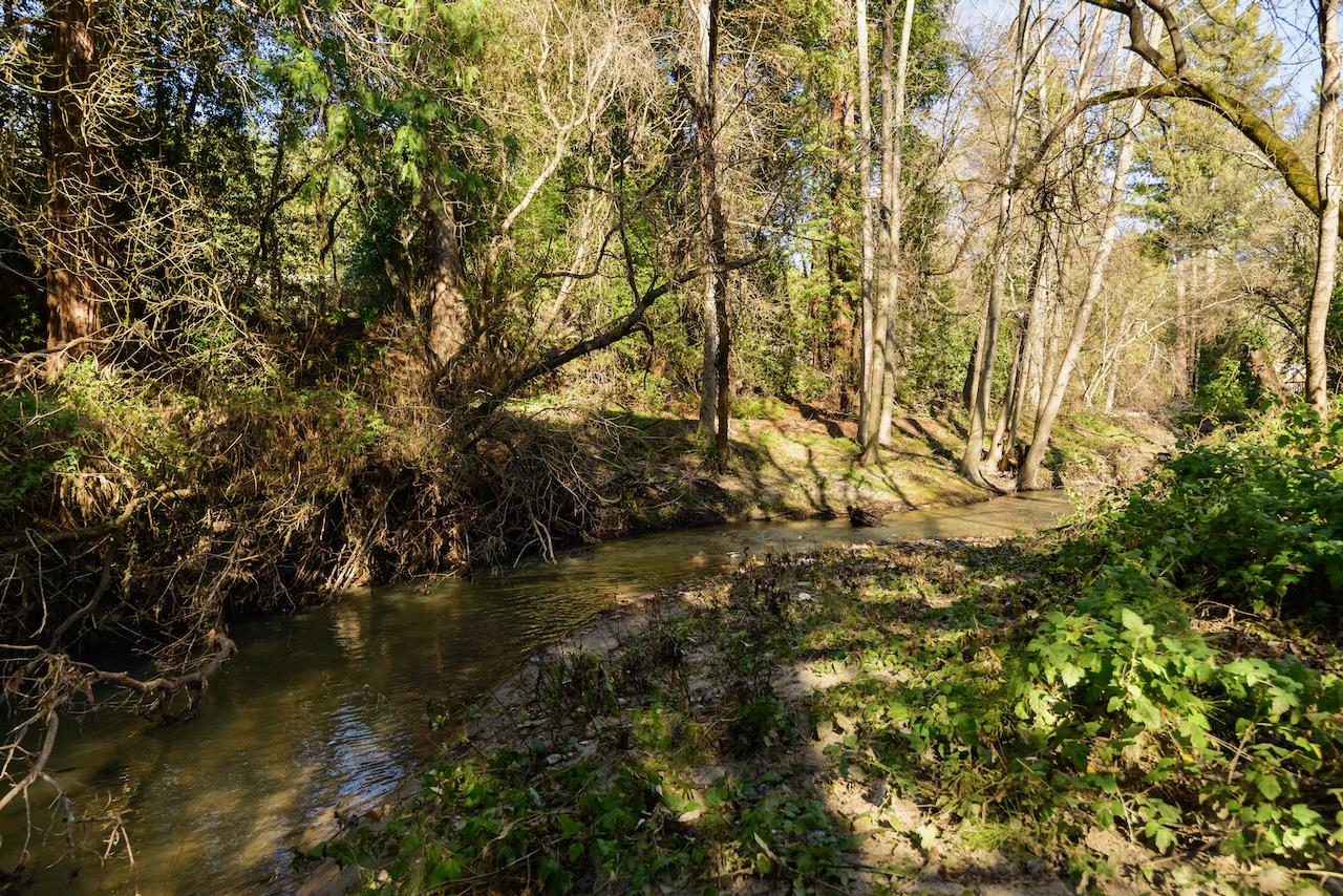 Detail Gallery Image 68 of 92 For 515 Lockhart Gulch Rd, Scotts Valley,  CA 95066 - 2 Beds | 1 Baths