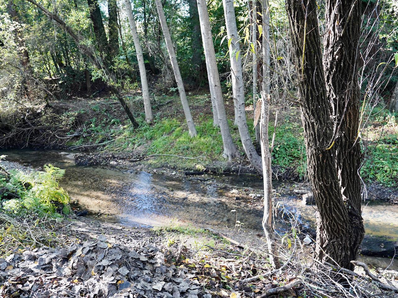 Detail Gallery Image 69 of 92 For 515 Lockhart Gulch Rd, Scotts Valley,  CA 95066 - 2 Beds | 1 Baths