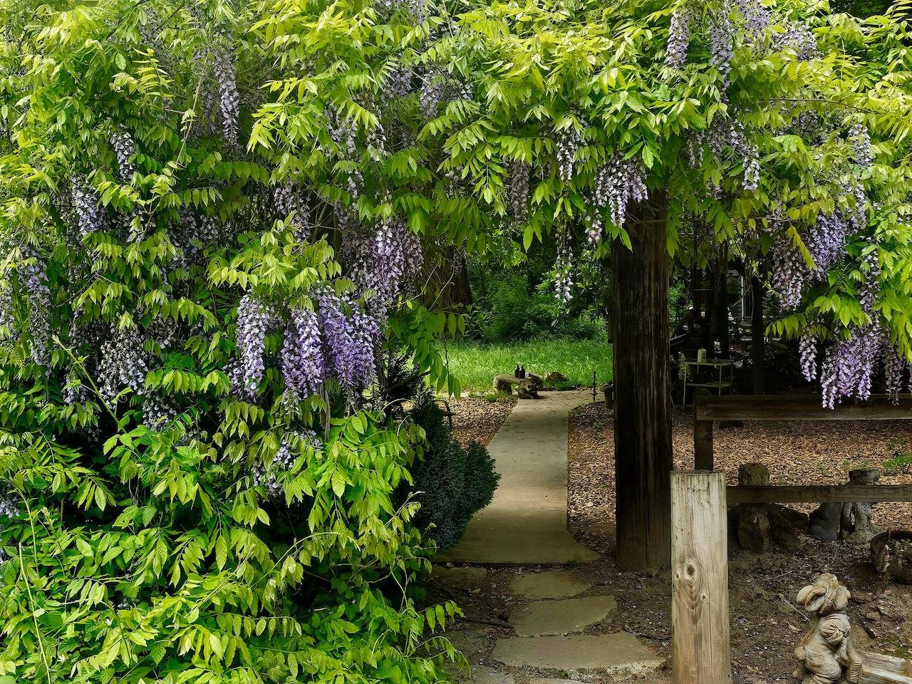 Detail Gallery Image 7 of 92 For 515 Lockhart Gulch Rd, Scotts Valley,  CA 95066 - 2 Beds | 1 Baths