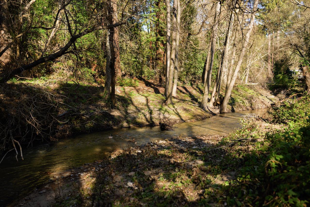 Detail Gallery Image 70 of 92 For 515 Lockhart Gulch Rd, Scotts Valley,  CA 95066 - 2 Beds | 1 Baths