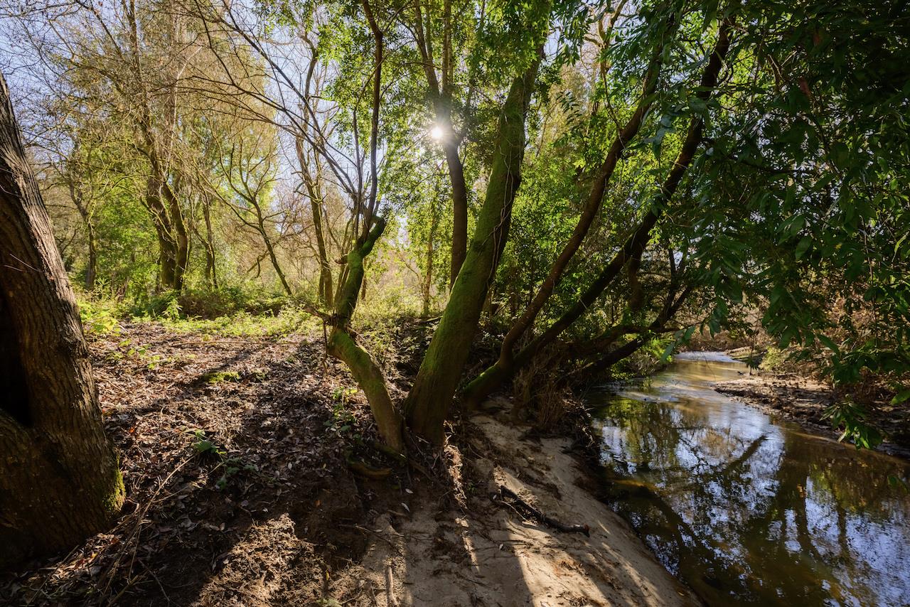 Detail Gallery Image 71 of 92 For 515 Lockhart Gulch Rd, Scotts Valley,  CA 95066 - 2 Beds | 1 Baths