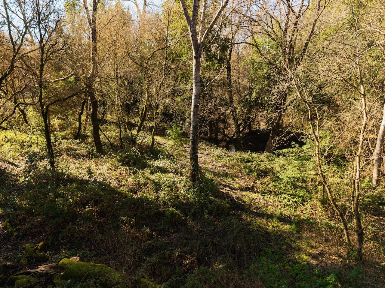 Detail Gallery Image 86 of 92 For 515 Lockhart Gulch Rd, Scotts Valley,  CA 95066 - 2 Beds | 1 Baths