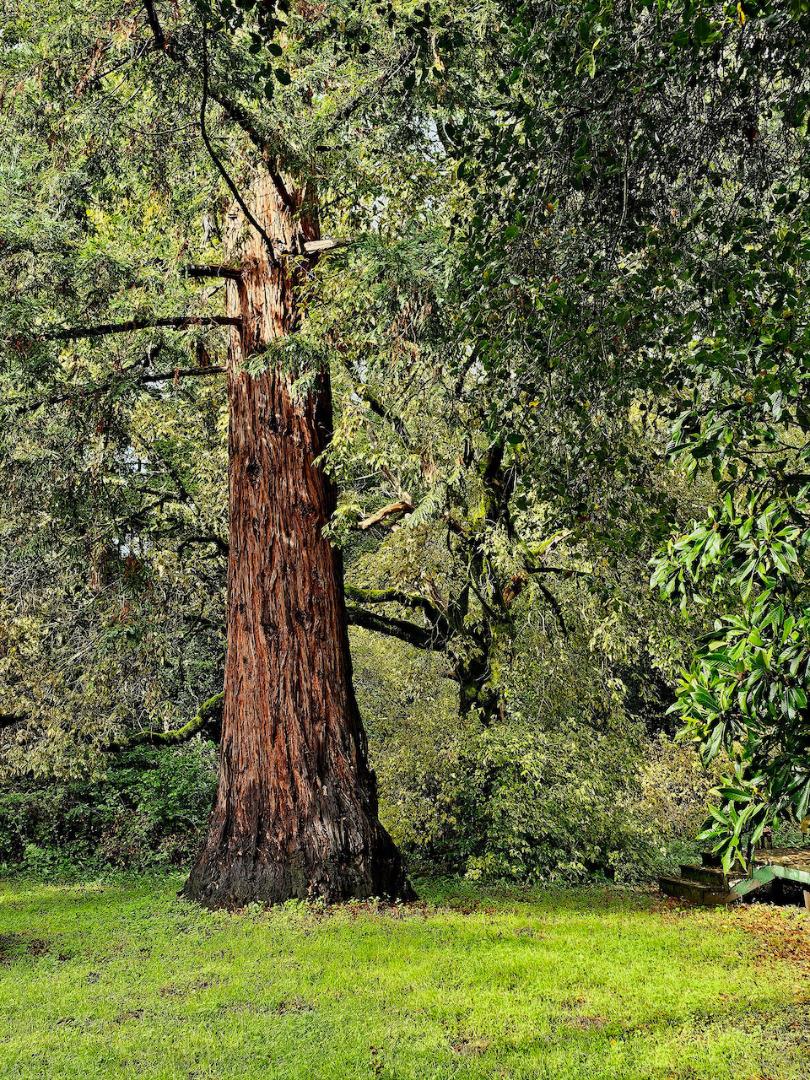 Detail Gallery Image 92 of 92 For 515 Lockhart Gulch Rd, Scotts Valley,  CA 95066 - 2 Beds | 1 Baths