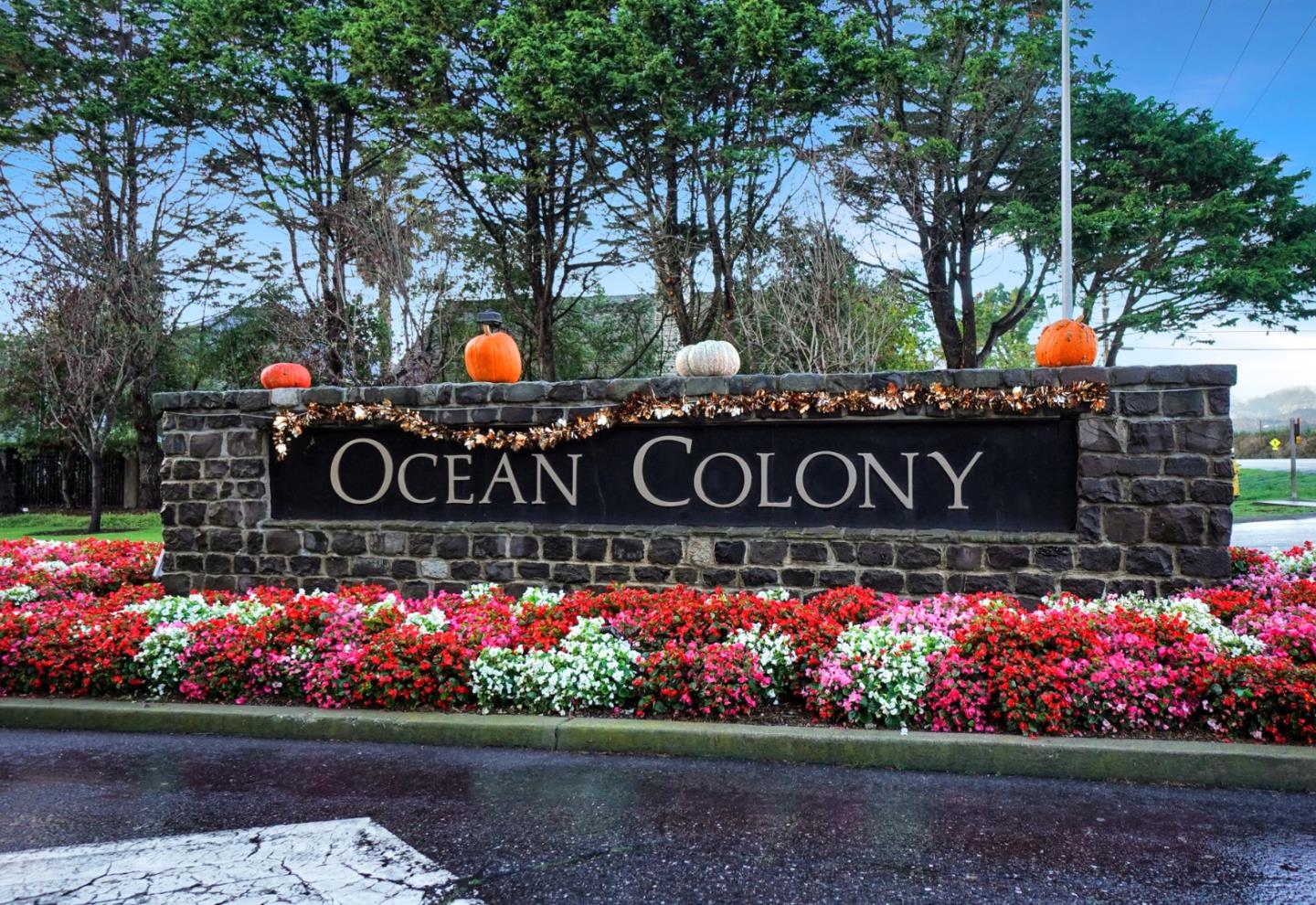 Detail Gallery Image 62 of 66 For 321 Eagle Trace Dr, Half Moon Bay,  CA 94019 - 3 Beds | 2/1 Baths