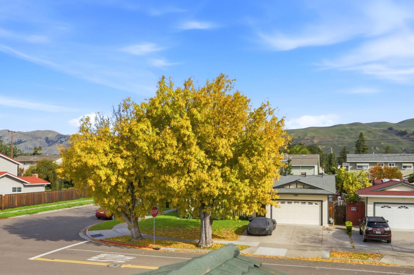 Detail Gallery Image 43 of 44 For 2045 Treewood Ln, San Jose,  CA 95132 - 5 Beds | 2/1 Baths