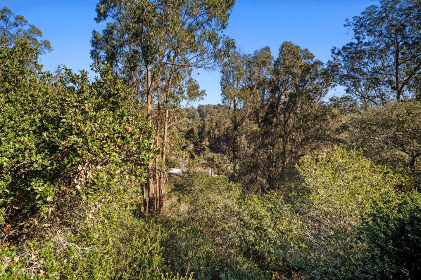 Detail Gallery Image 30 of 33 For 7442 Leafwood Dr, Prunedale,  CA 93907 - 3 Beds | 2/1 Baths