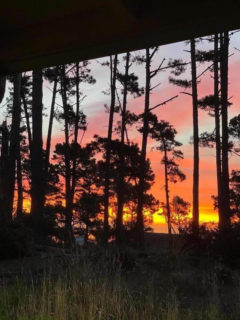 Detail Gallery Image 37 of 39 For 250 Forest Ridge Rd #27,  Monterey,  CA 93940 - 2 Beds | 2 Baths