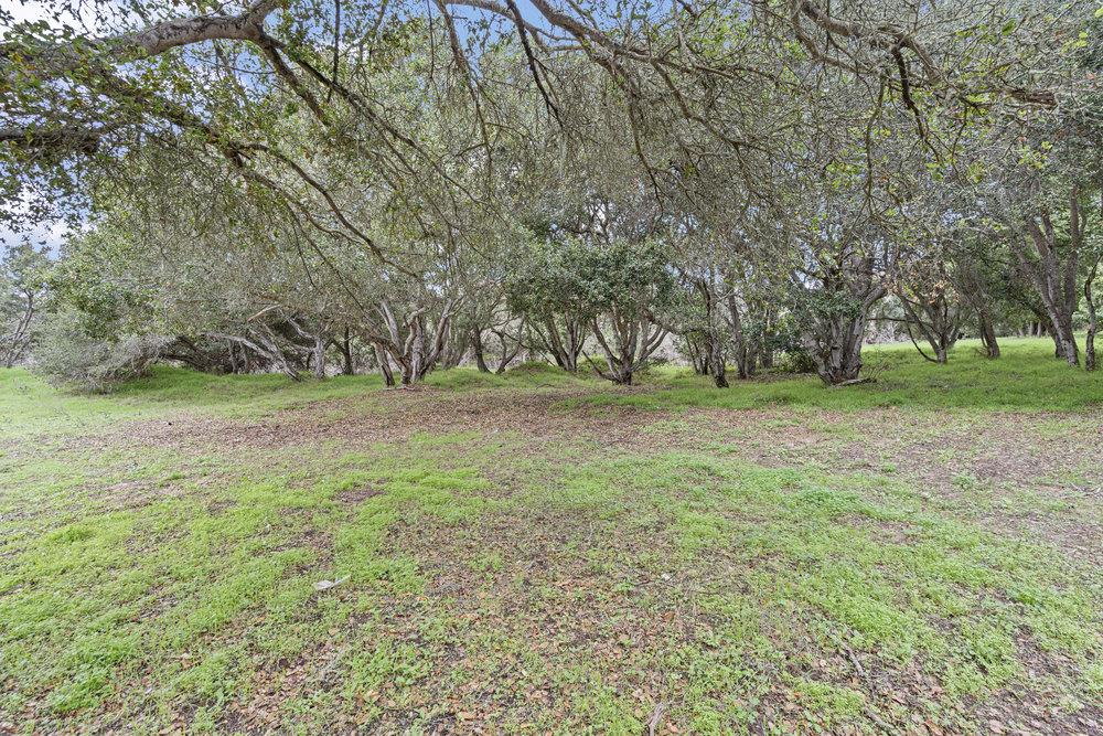 Detail Gallery Image 10 of 12 For 0 Campagna Way, Royal Oaks,  CA 95076 - – Beds | – Baths