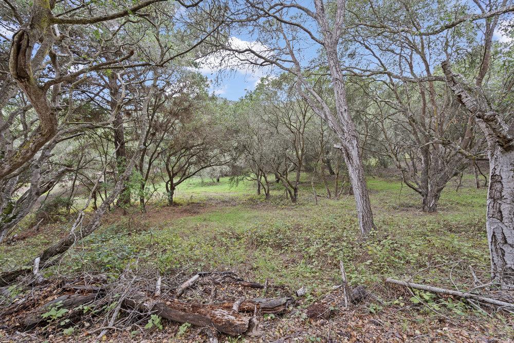 Detail Gallery Image 6 of 12 For 0 Campagna Way, Royal Oaks,  CA 95076 - – Beds | – Baths