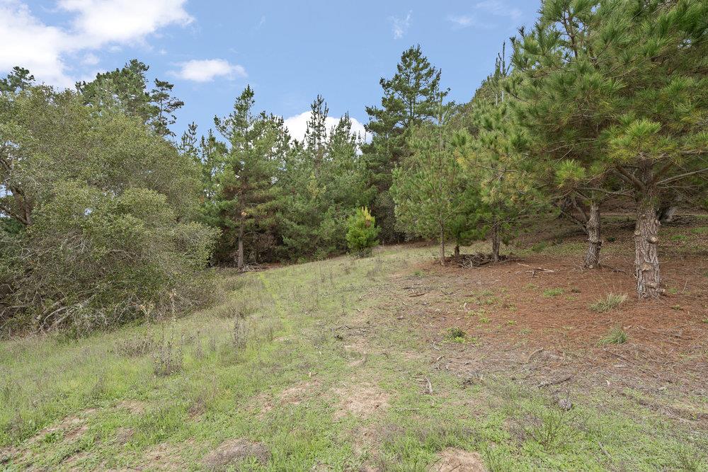 Detail Gallery Image 7 of 12 For 0 Campagna Way, Royal Oaks,  CA 95076 - – Beds | – Baths