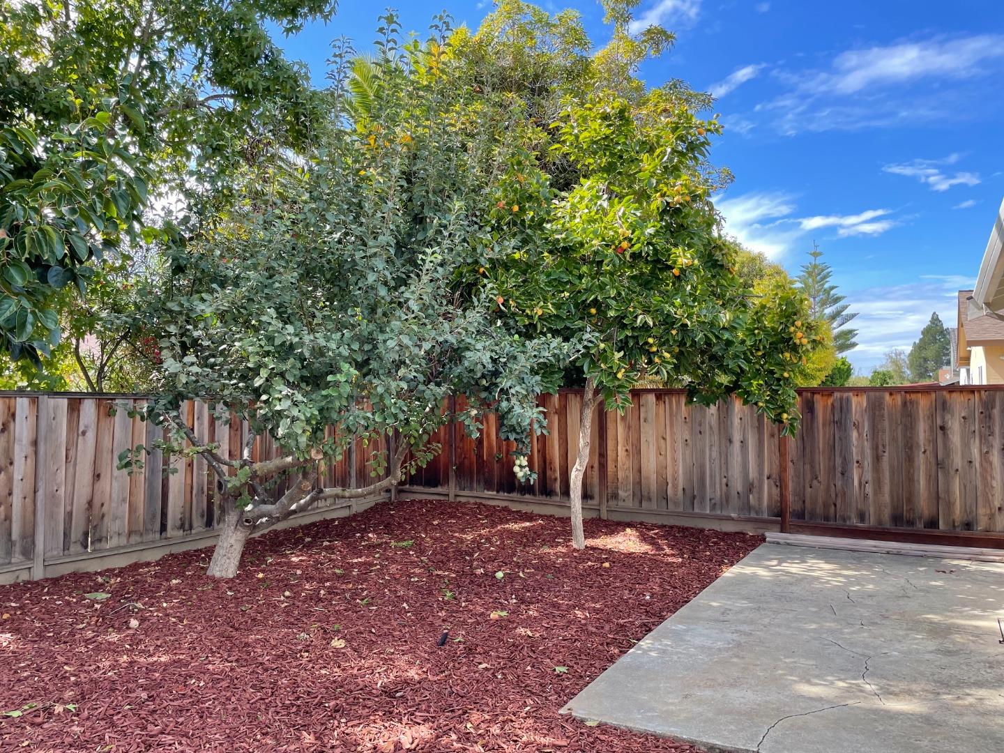 Detail Gallery Image 16 of 18 For 33847 Whitehead Ln, Fremont,  CA 94555 - 4 Beds | 2 Baths