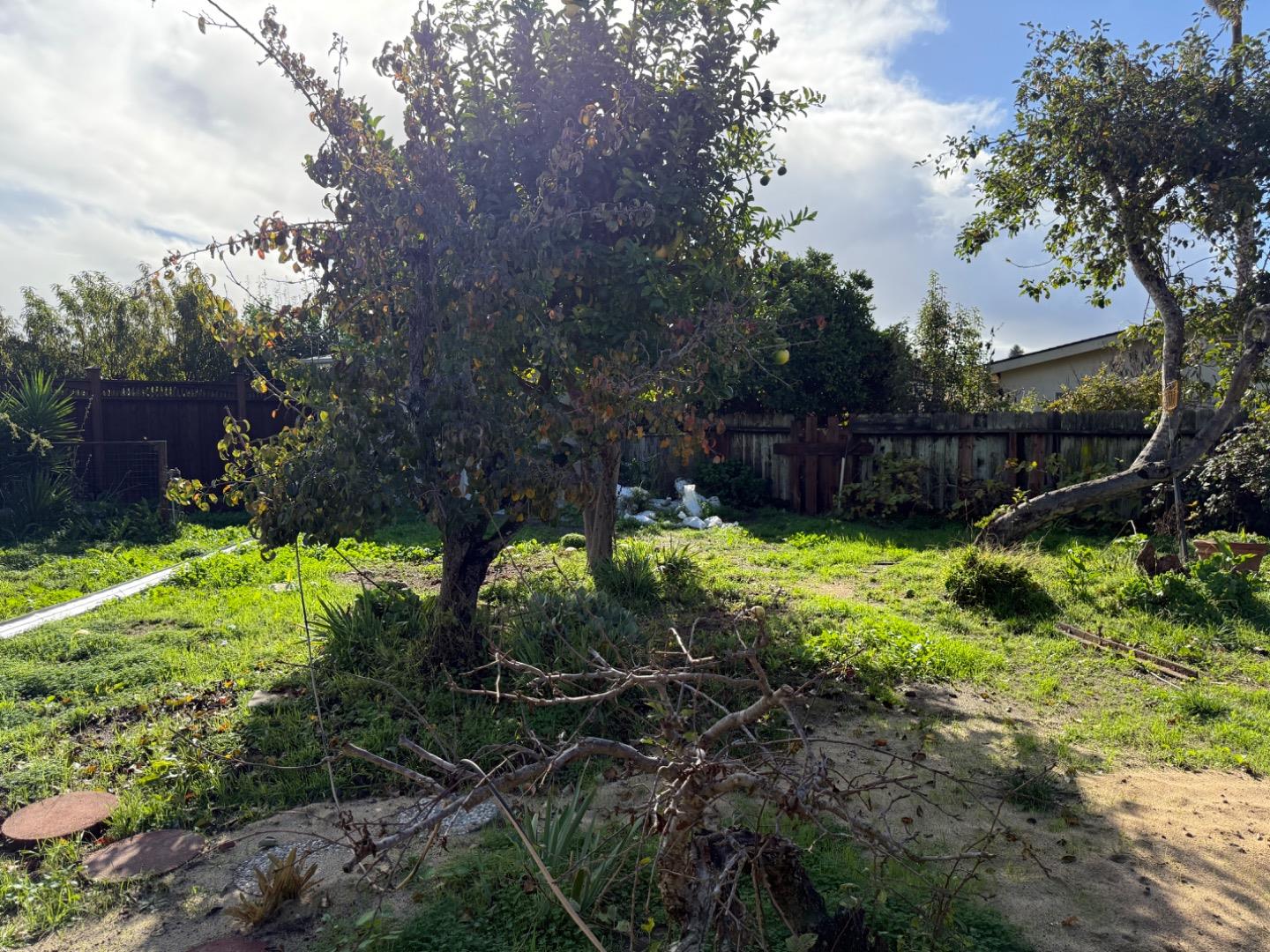 Detail Gallery Image 14 of 15 For 604 Ester Way, Watsonville,  CA 95076 - 2 Beds | 1 Baths