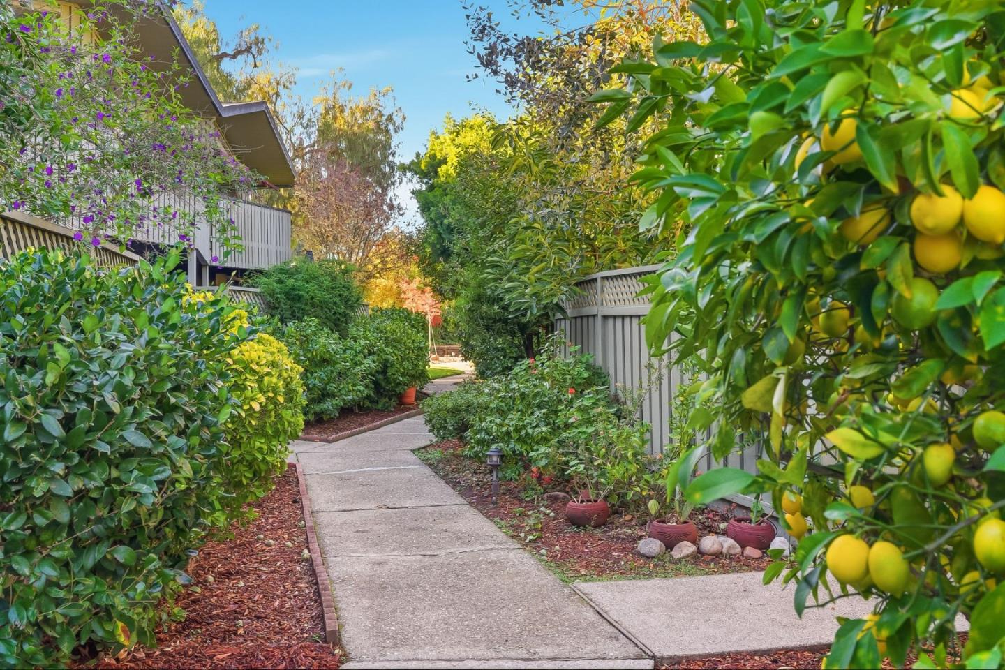 Detail Gallery Image 26 of 29 For 278 Monroe Dr #8,  Mountain View,  CA 94040 - 2 Beds | 1 Baths