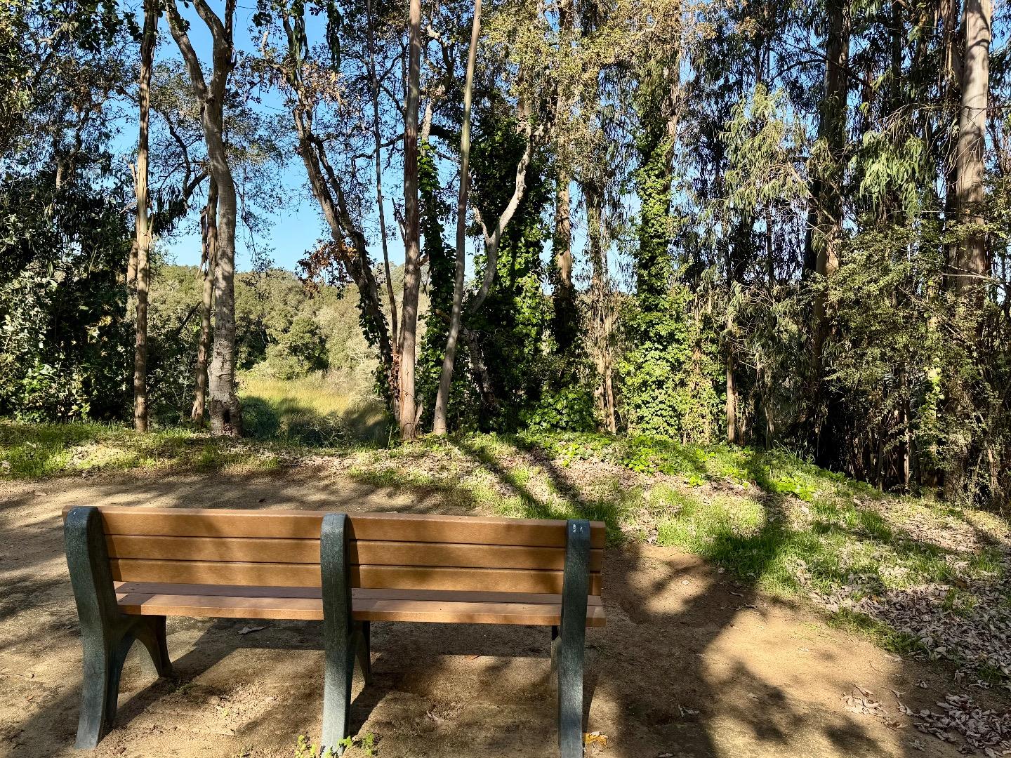 Detail Gallery Image 19 of 26 For 755 14th Ave #205,  Santa Cruz,  CA 95062 - 2 Beds | 1 Baths