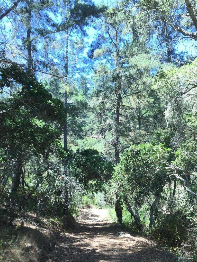 Detail Gallery Image 7 of 10 For 64 Marguerite (Tehama), Carmel,  CA 93923 - – Beds | – Baths