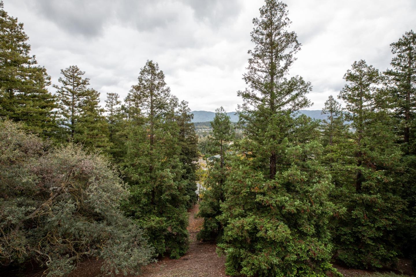 Detail Gallery Image 29 of 40 For 1464 Bullion Cir, San Jose,  CA 95120 - 3 Beds | 2/1 Baths