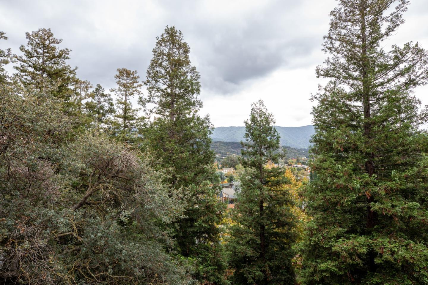 Detail Gallery Image 9 of 40 For 1464 Bullion Cir, San Jose,  CA 95120 - 3 Beds | 2/1 Baths