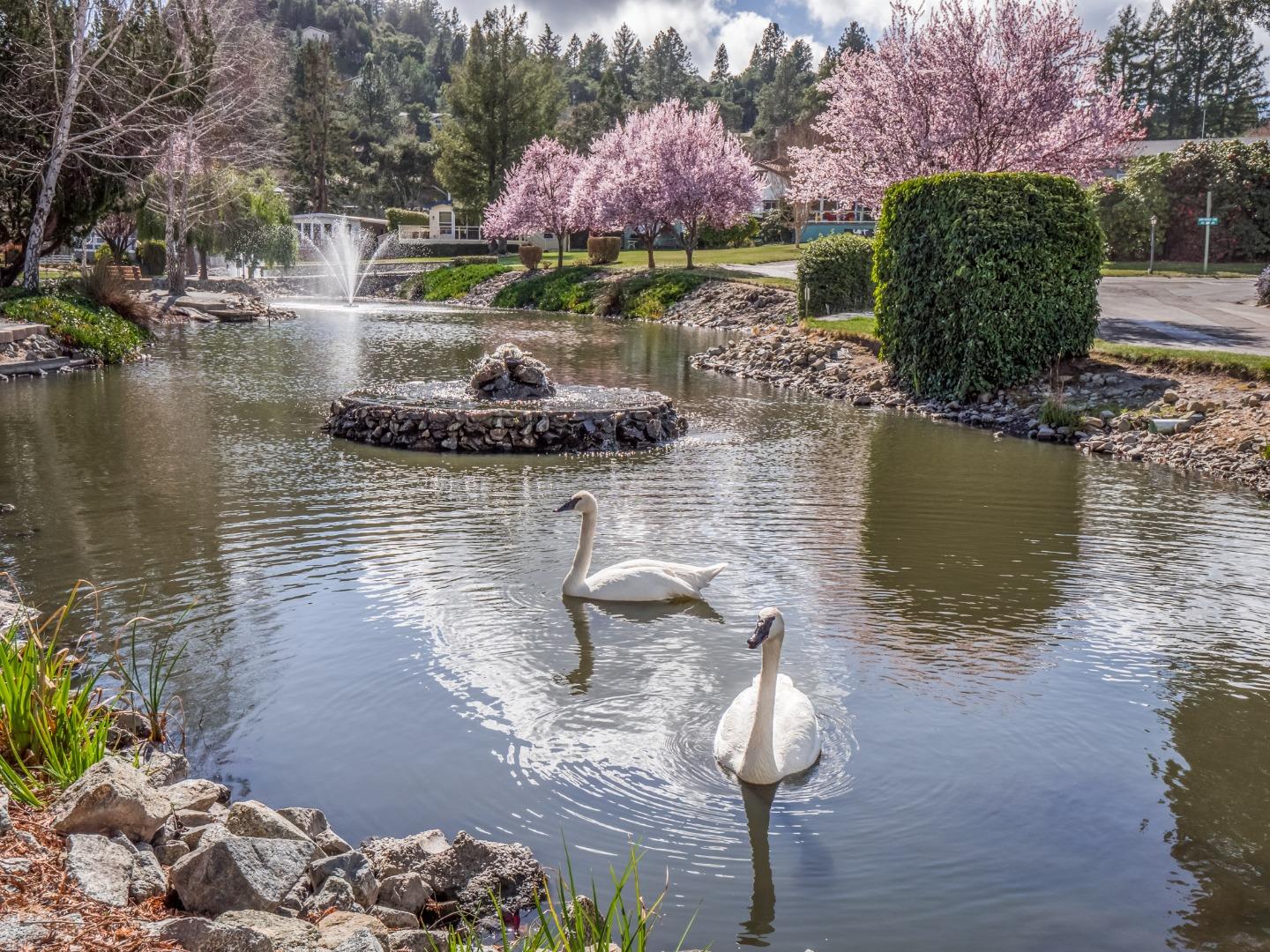 Detail Gallery Image 43 of 44 For 225 Mt Hermon Rd #37,  Scotts Valley,  CA 95066 - 2 Beds | 2 Baths