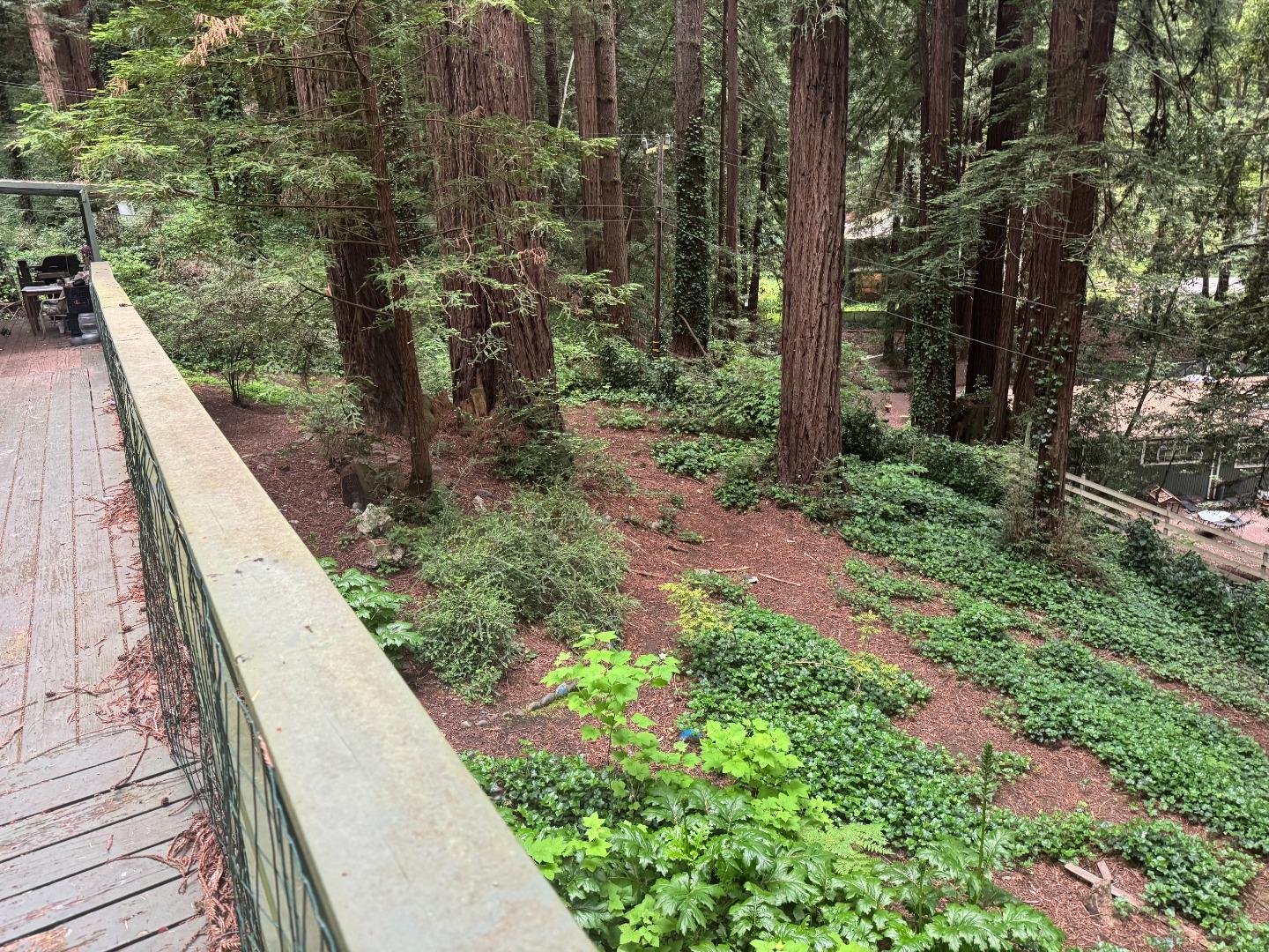 Detail Gallery Image 12 of 15 For 111 Sylvan Way, La Honda,  CA 94020 - 3 Beds | 1 Baths