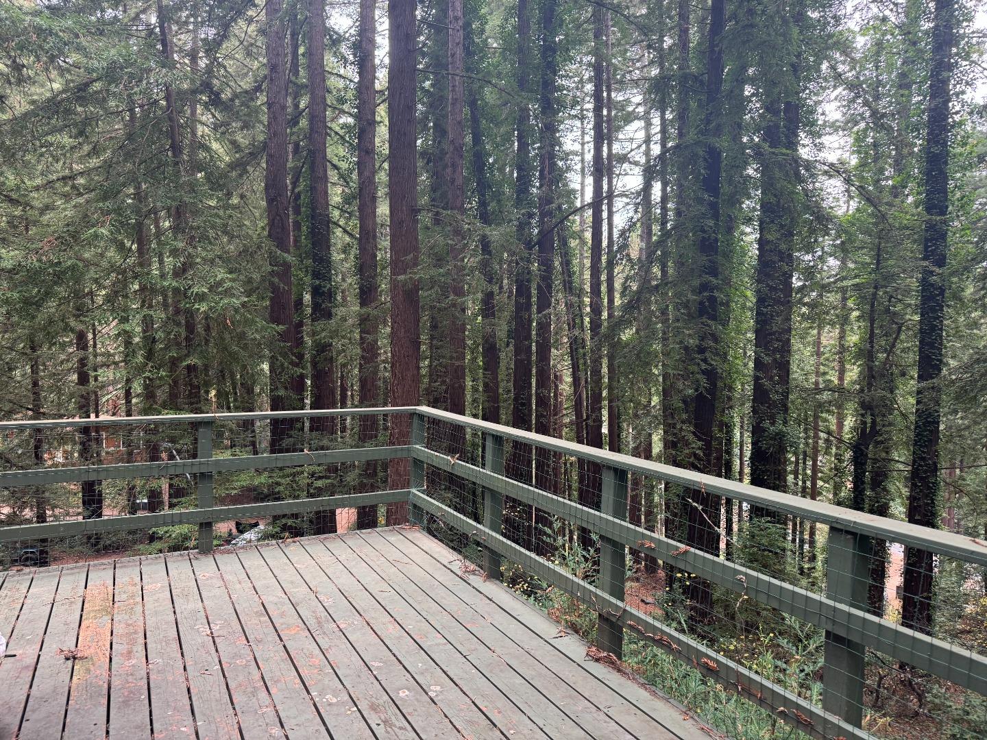 Detail Gallery Image 14 of 15 For 111 Sylvan Way, La Honda,  CA 94020 - 3 Beds | 1 Baths