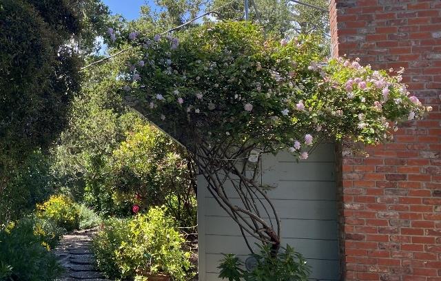 Detail Gallery Image 35 of 39 For 25349 Flanders Dr, Carmel,  CA 93923 - 3 Beds | 2 Baths