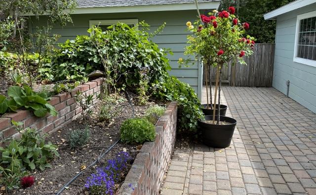 Detail Gallery Image 36 of 39 For 25349 Flanders Dr, Carmel,  CA 93923 - 3 Beds | 2 Baths