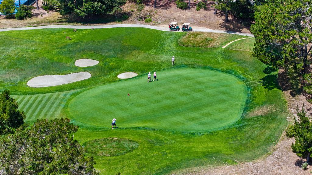 Detail Gallery Image 69 of 72 For 4051 Los Altos Dr, Pebble Beach,  CA 93953 - 3 Beds | 3/1 Baths