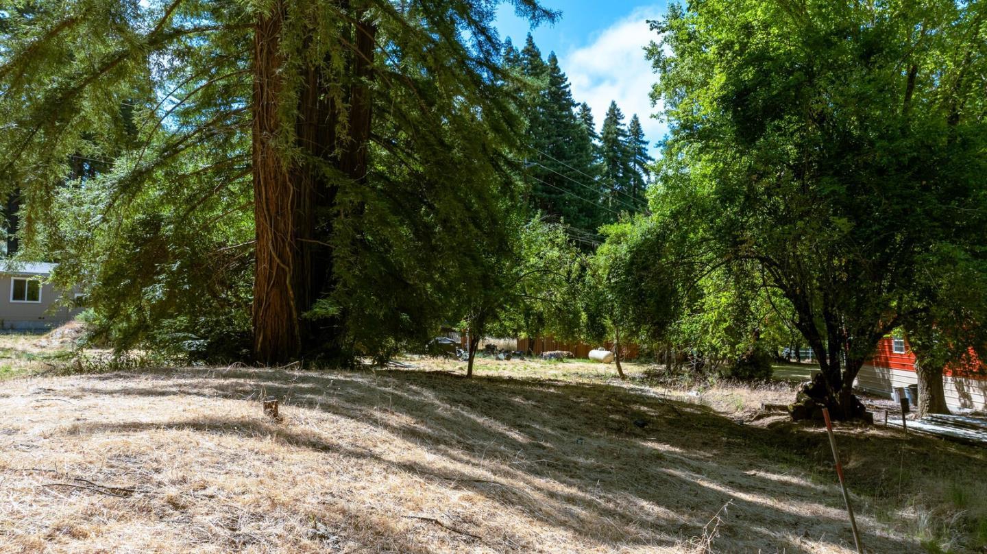 Detail Gallery Image 51 of 66 For 165 Coffeeberry Dr, Boulder Creek,  CA 95006 - – Beds | – Baths