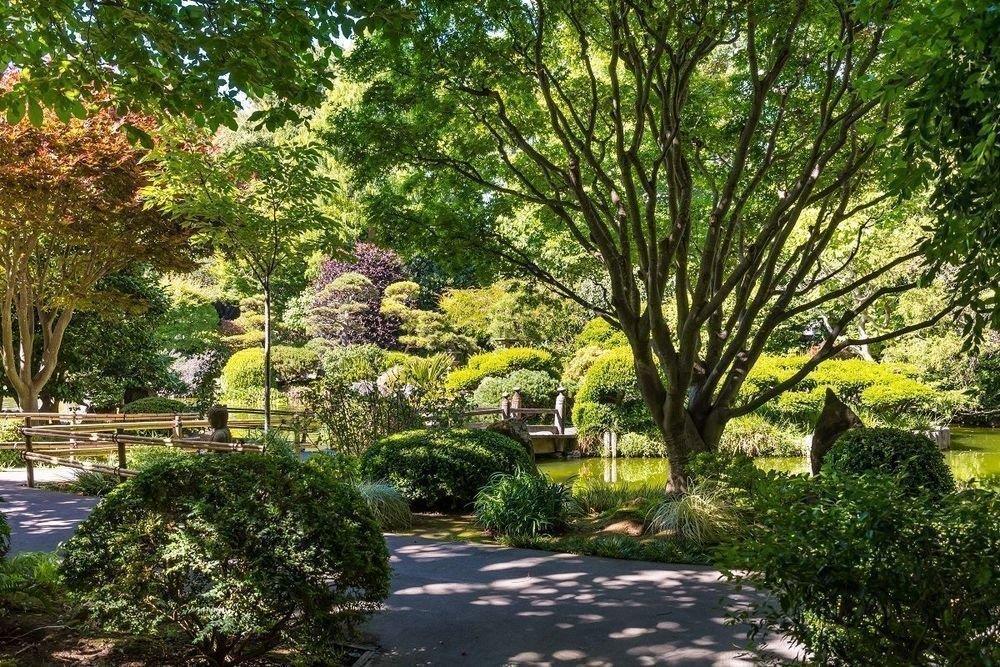 Detail Gallery Image 43 of 47 For 10 9th Ave #206,  San Mateo,  CA 94401 - 2 Beds | 2 Baths