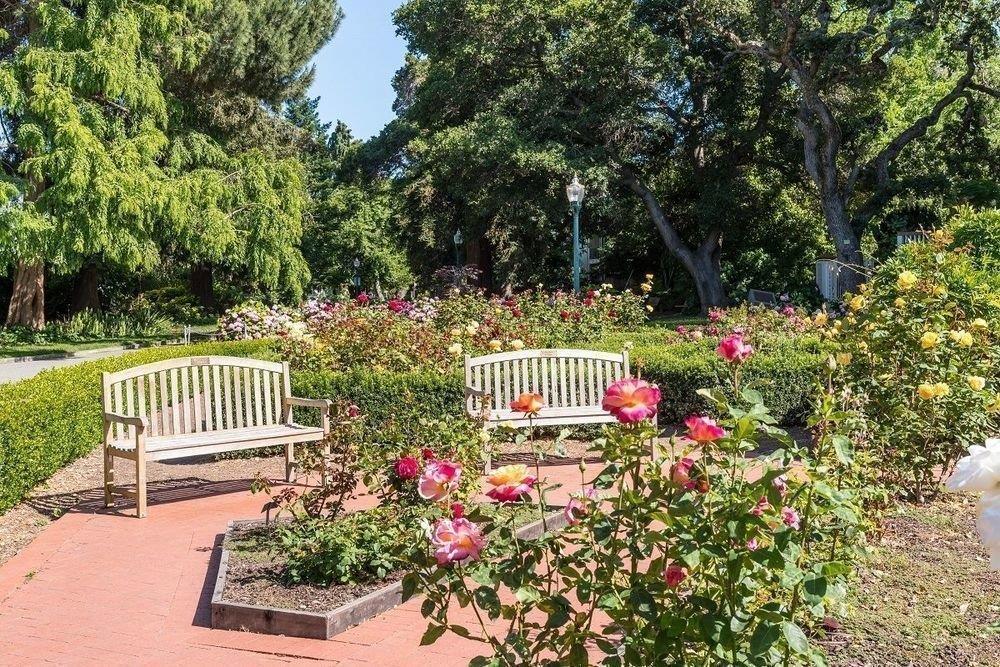 Detail Gallery Image 44 of 47 For 10 9th Ave #206,  San Mateo,  CA 94401 - 2 Beds | 2 Baths