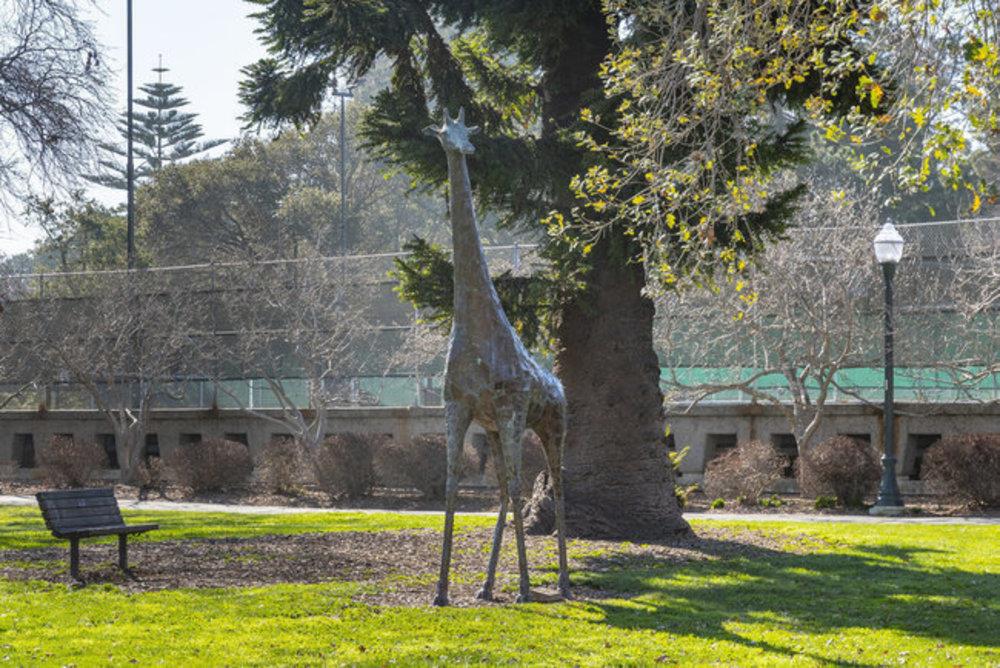 Detail Gallery Image 45 of 47 For 10 9th Ave #206,  San Mateo,  CA 94401 - 2 Beds | 2 Baths