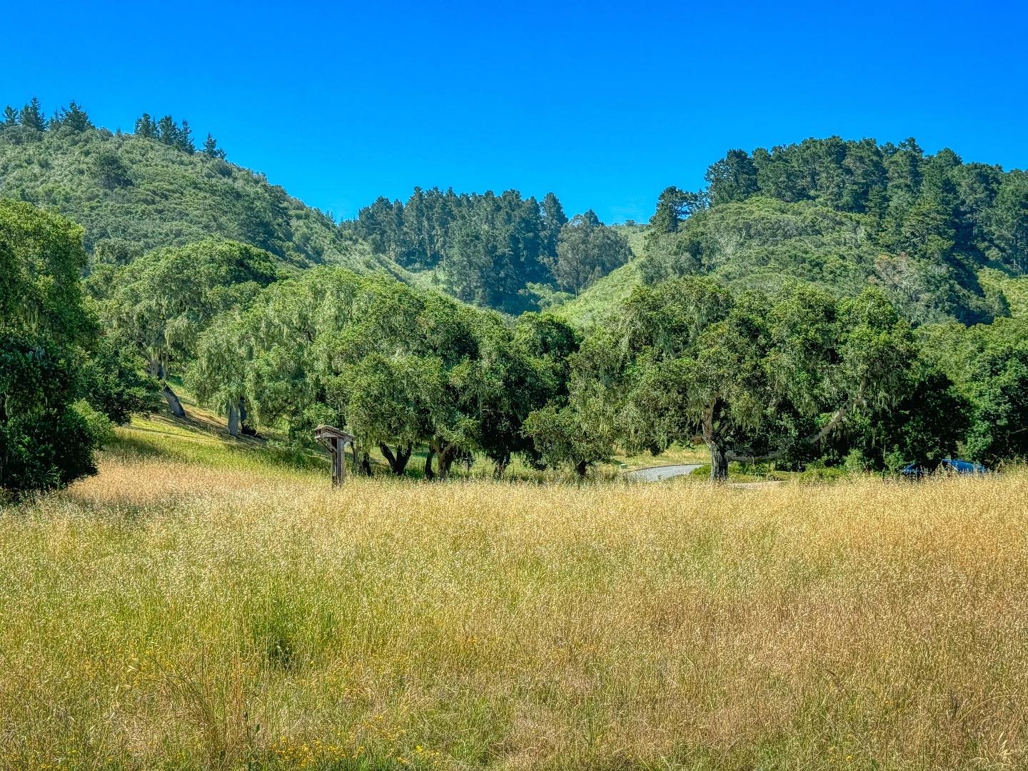 Detail Gallery Image 8 of 8 For 8340 Vista Monterra, Monterey,  CA 93940 - – Beds | – Baths