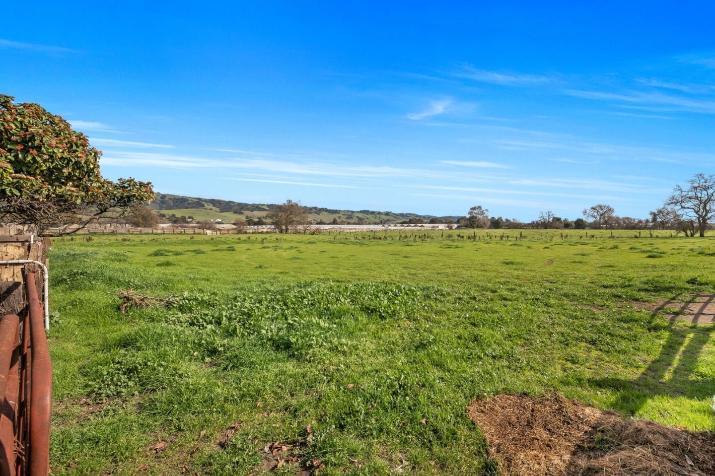 Detail Gallery Image 53 of 58 For 2800 Dryden Ave, Gilroy,  CA 95020 - 4 Beds | 2/1 Baths