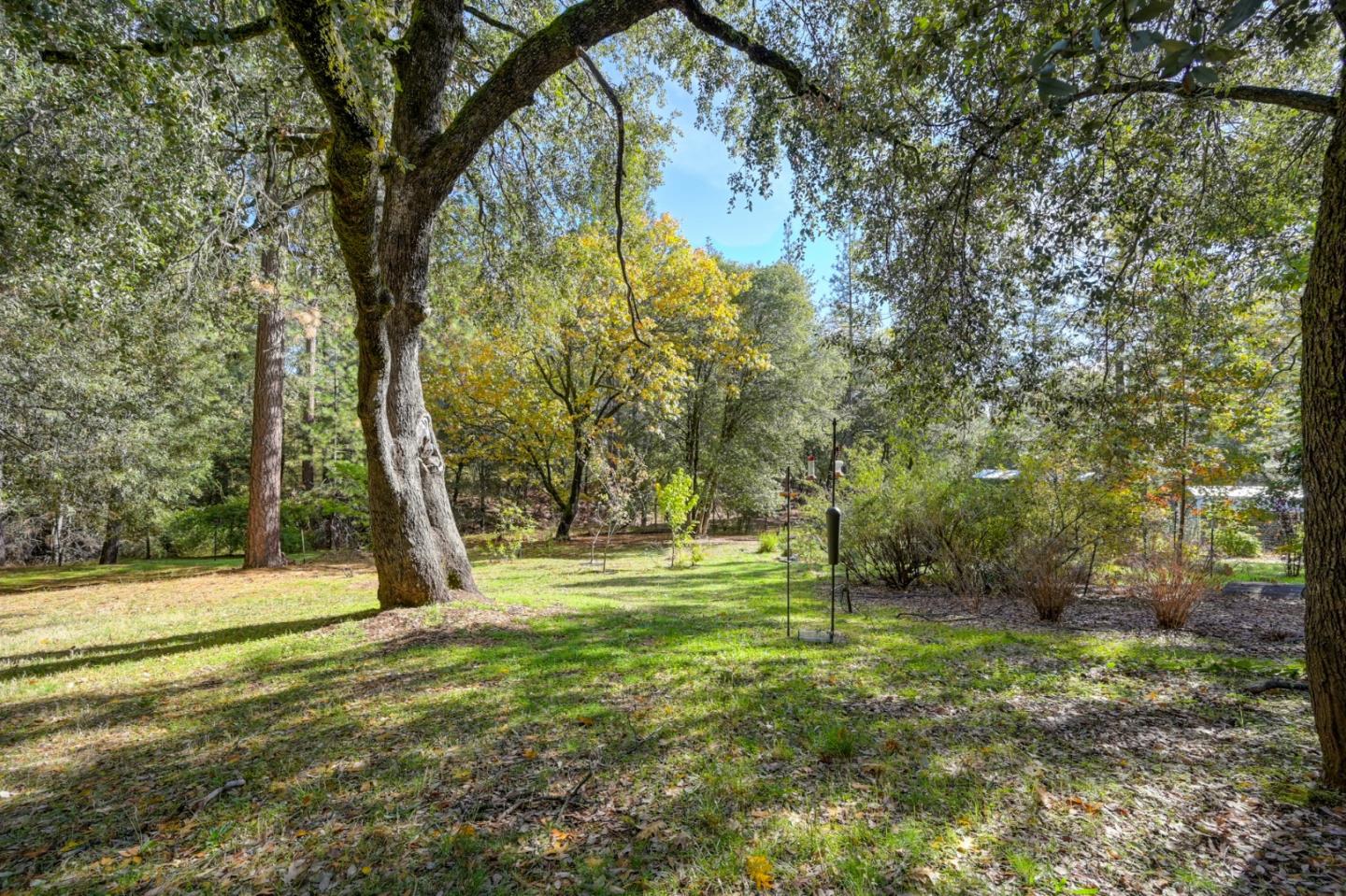 Detail Gallery Image 52 of 66 For 21335 Robin Ln, Pine Grove,  CA 95665 - 3 Beds | 2 Baths